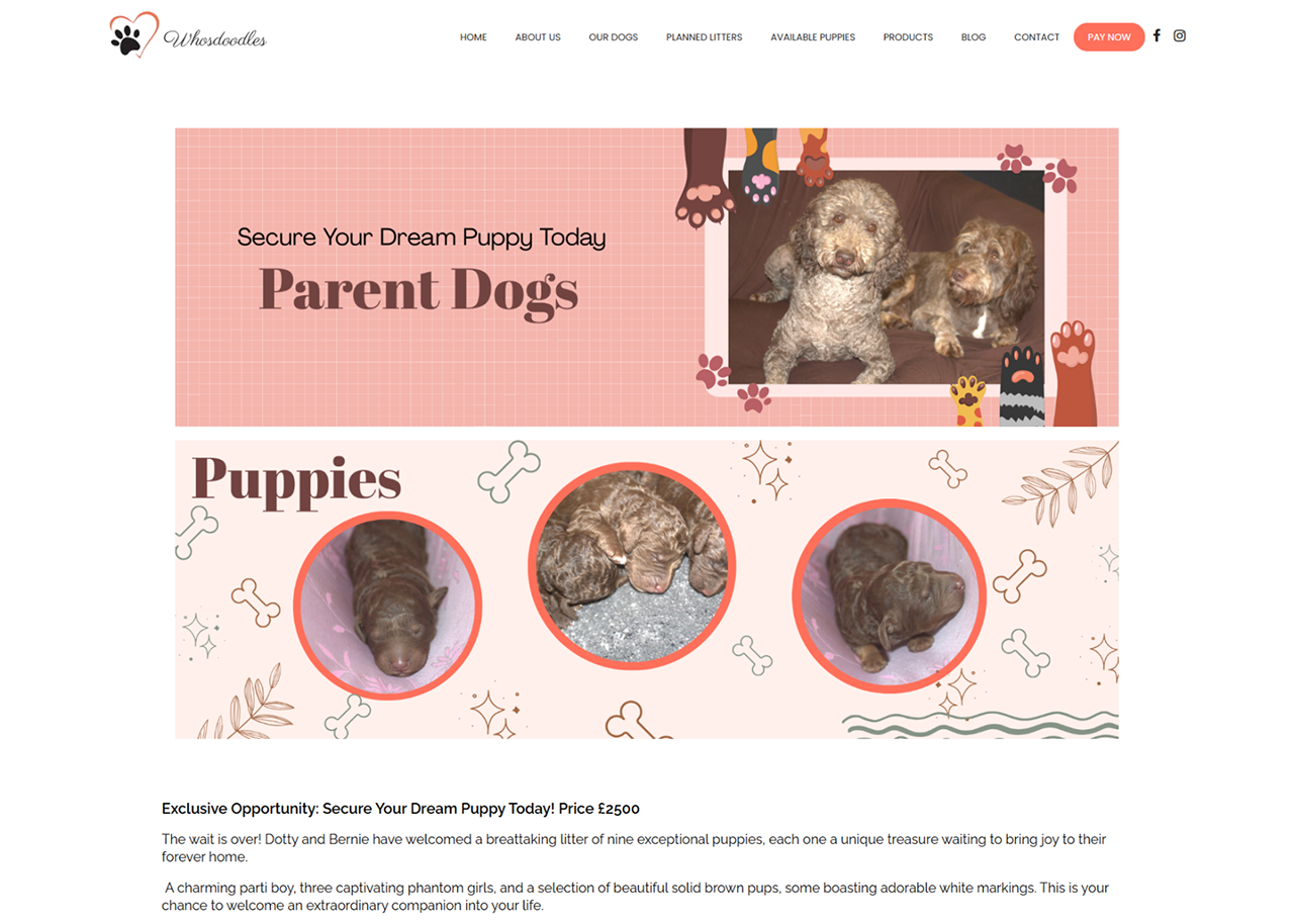 parent dogs